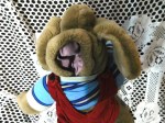wrinkles dog red cord e